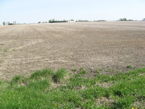 Property photo 8 - 172 Acres Offered in 3 Tracts - Prime Farmland